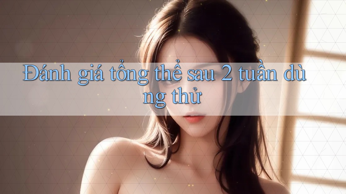 Đánh giá tổng thể sau 2 tuần dùng thử Đánh giá tổng thể sau 2 tuần dùng thử