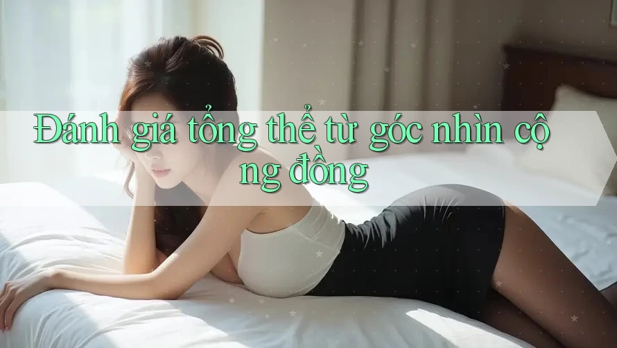 Đánh giá tổng thể từ góc nhìn cộng đồng Đánh giá tổng thể từ góc nhìn cộng đồng